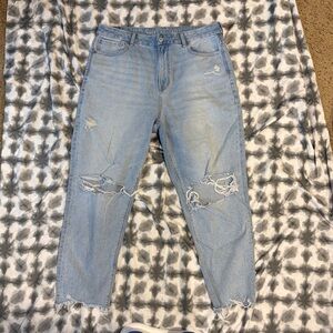 American Eagle Outfitters Light Blue Distressed Ankle Jeans
